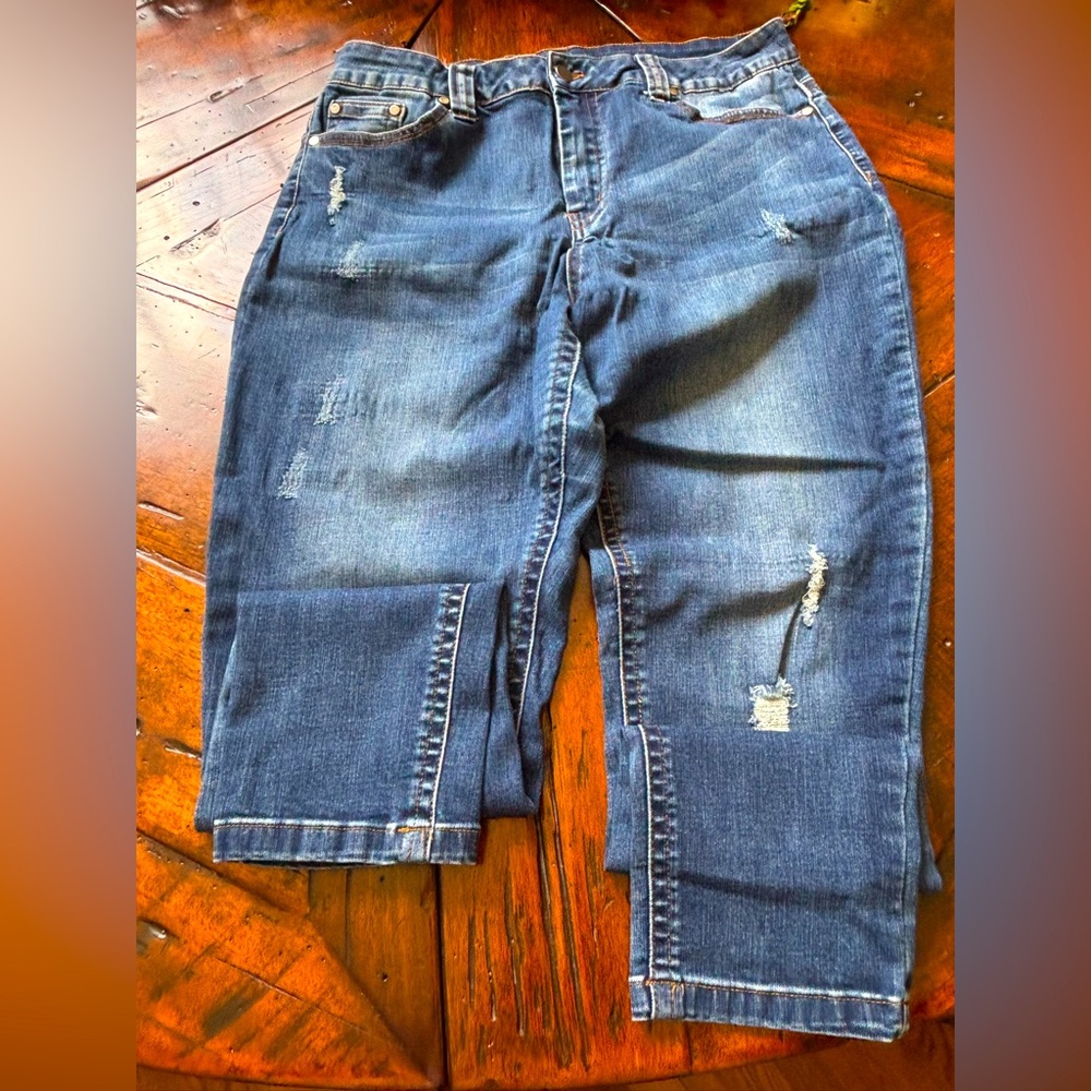 Reba Distressed Jeans. Size 14